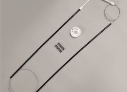 Santana antigo (Bosch)